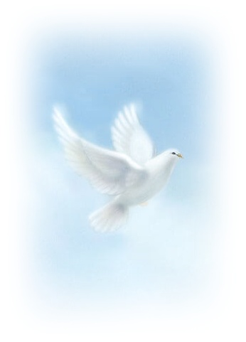 Timothy Charles Syruws Obituary, Terra Alta, WV